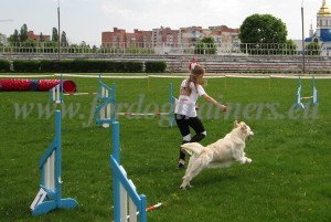 Agility International Championship