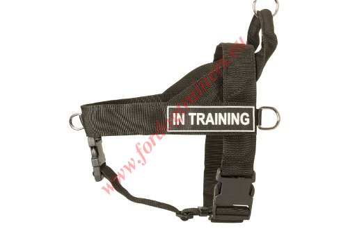 Nylon Dog Harness with Front Ring