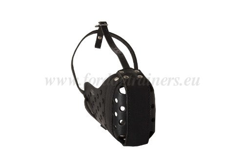Leather Dog Muzzle Well Ventilated