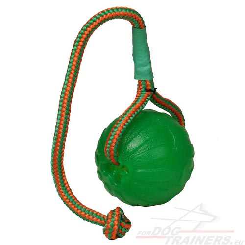 Balle flottante pour chien | Jouet pour chien Balle flottante pour chien | Jouet pour chien
