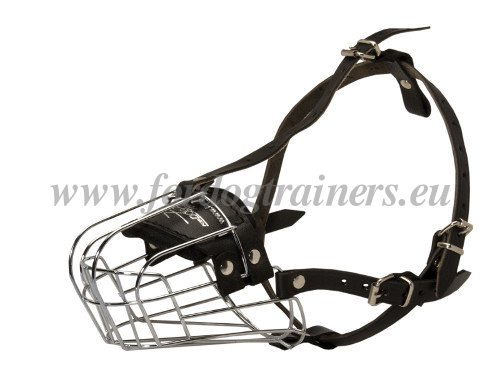 Wire Basket Muzzle for Large Dog