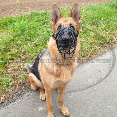 Basket Muzzle for German Shepherd Leather-padded