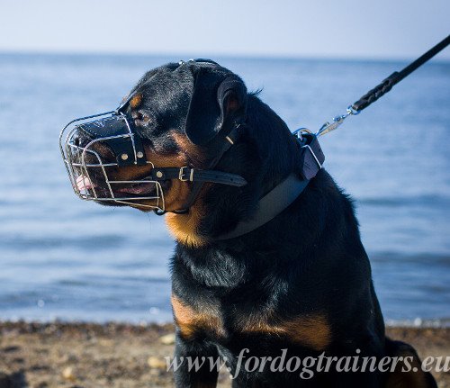 Cage Muzzle for Large Dogs Padded
