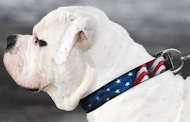 Leather Collar with USA Flag Painting