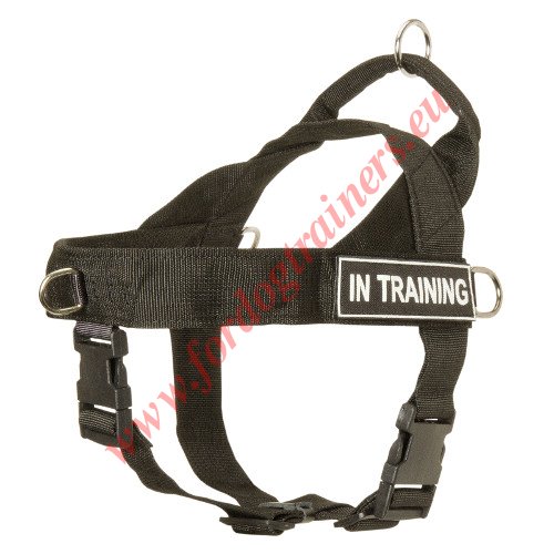 Dog Harness for Tracking and Pulling