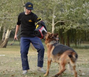 Police Dog Bite Training