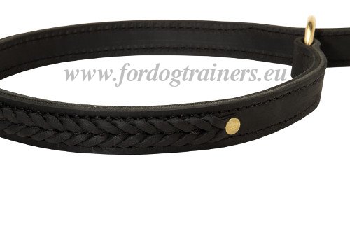 Strong Braided Collar for Dog training