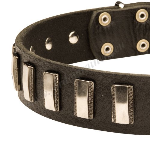 Hand-made Dog Collar with Riveted Plates