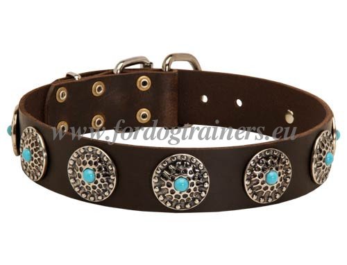 Studded Dog Collars Wide Leather