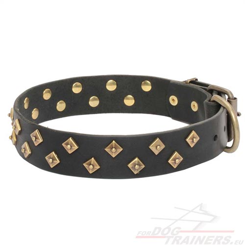 Black Leather Dog Collar wth Brass Fittings
Riveted