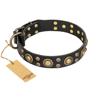 Leather Collar Baroque Chic with "Bronze" Studs FDT Artisan