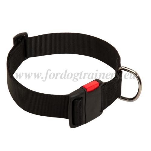 Dog
Training Nylon Collar