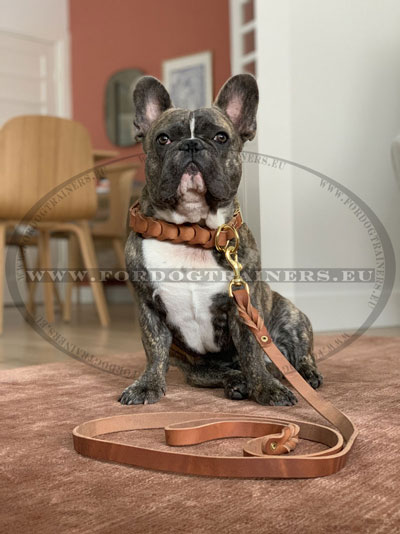 Small Breed Dog Collar and Leash Genuine Leather