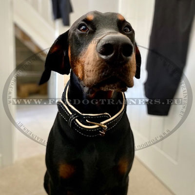 Braided Dog Collar for Doberman Lovers Wide