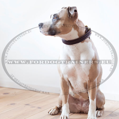 Handmade Collars for Dogs Genuine Leather