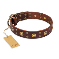 Stylish Dog Collar with Studs "Caprice of Fashion" FDT Artisan