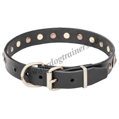 Nice Leather Dog Collar Handcrafted