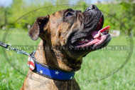 Art Collar for Boxer American Flag Style ⓊⓢⒶ