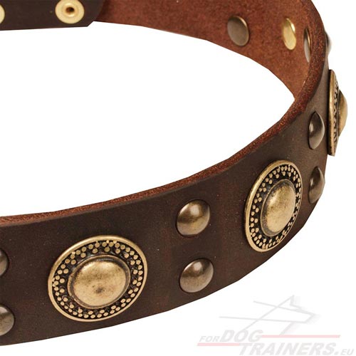 Brown Leather Collar 