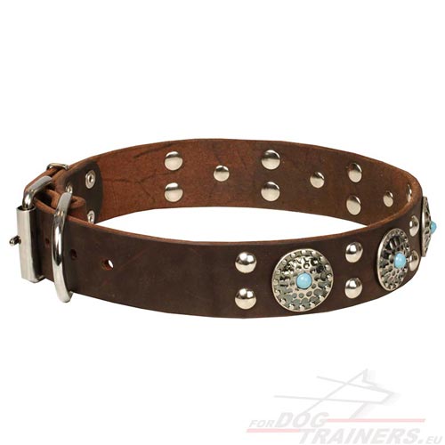 Brown Leather Collar with Turquoise-like Stones