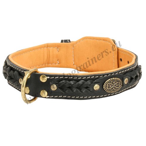 Braided Leather Dog Collar Wide
