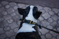 Bullterrier Hundehalsband aus echtem Leder mit Design Schmuck