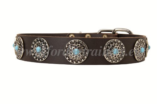 Exquisite Leather Collar for Molossers