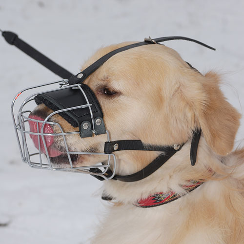 Wire Muzzle for Alaskan Malamute, Husky ⚶ [M4 (910)] Dog harness
