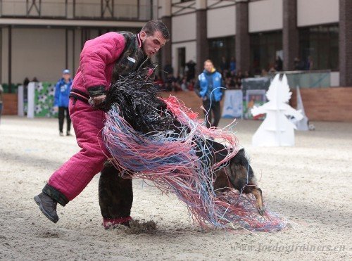 Chiens de defense Mondioring 2018