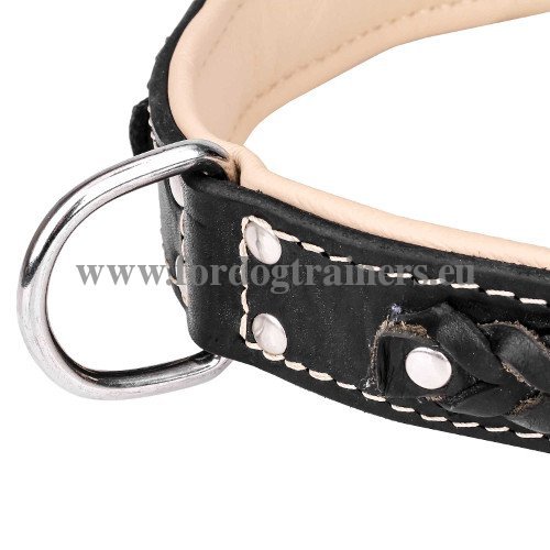 Leather Dog Collar with Rivets Hand Set