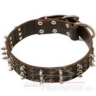 Dog Collar Leather with Decorative Spikes and Studs
