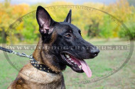 Studded
Leather Dog Collar for Malinois