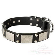Leather Dog Collar Plated