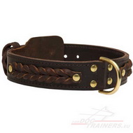 Braided Dog Collar, Traditional Leather One with Brass Metal Parts