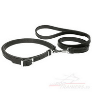 Leather Collar and
Leash