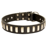 Leather Dog Collar Stylish, Studded Collar Exclusive