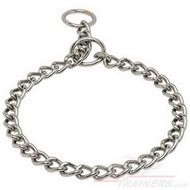 Chain Dog Collar
Chromed Steel