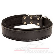Strong Padded Leather
Dog Collar
