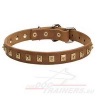 Studded Dog Collar, Leather with Square Studs!