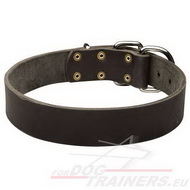 Zwarte Lederen
Honden Halsband