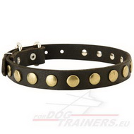 Studs and Circles Design Leather Collar
