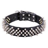 Leather Collar for Dog with Nickel Spikes