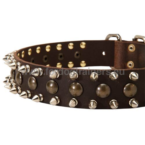 Designer dog collar with one row of studs and
two rows of spikes for Pitbull