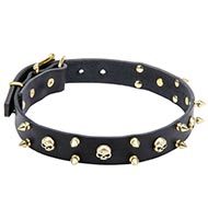 Dog Collar with Brass Skulls as Decorations
