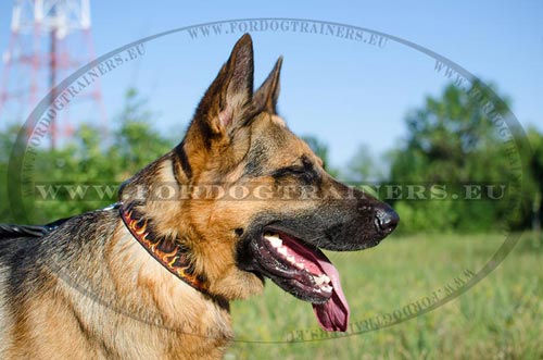 Extraordinary Waterproof Leather Dog Collar for German Shepherd