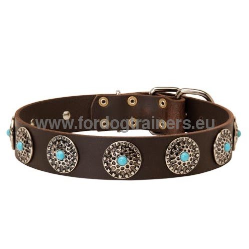 Leater Collar for Amstaff with Exclusive Decoration