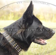 German Shepherd Leather Collar with Decorative Spikes and Studs