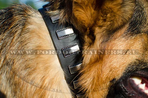 Handcrafted and hand decorated dog collar for German Shepherd