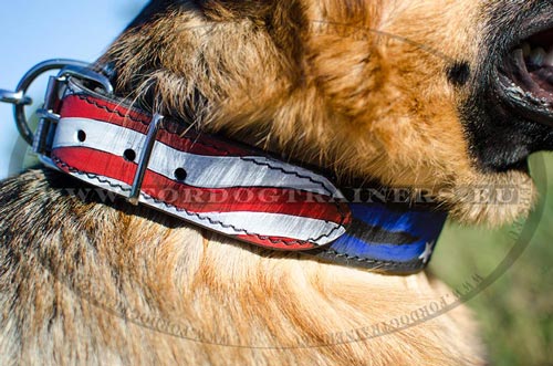 Wide leather dog collar painted with American Flag
Design