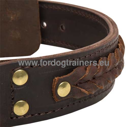 Decorated Leather Collar for Bullmastiff